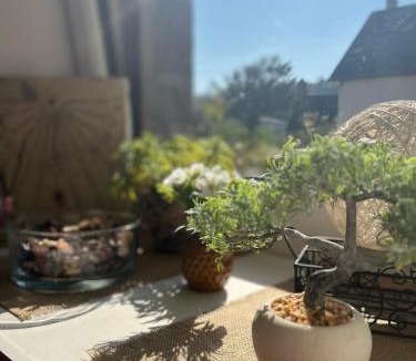 Vire-Normandie House | Le Gite de la Menuiserie