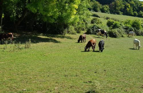 Lachapelle-Saint-Pierre House | LE GITE DE RICHEMONT