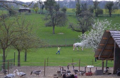 Lachapelle-Saint-Pierre House | LE GITE DE RICHEMONT