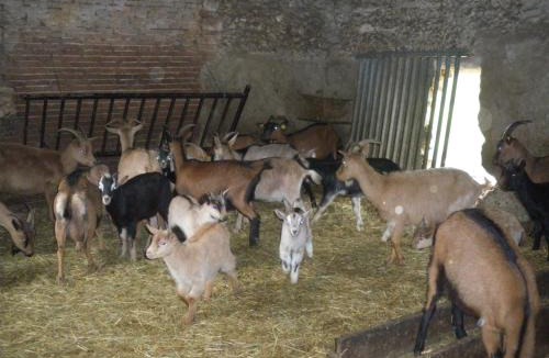 Lachapelle-Saint-Pierre House | LE GITE DE RICHEMONT