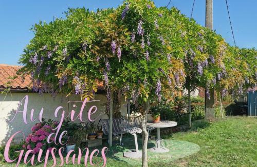 Saint-Arroumex House | Le gite de Gayssanes