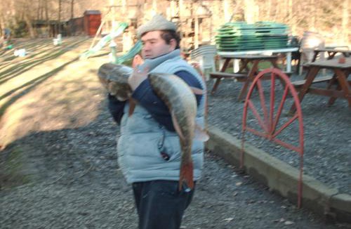 Saint-Michel Other | le Gite de illian