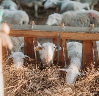 Roumare House | Le gite de Melmont