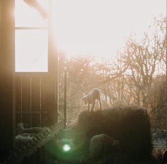 Roumare House | Le gite de Melmont