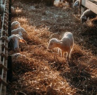 Roumare House | Le gite de Melmont