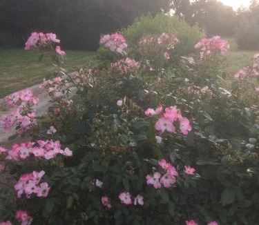 Chambellay House | Le Gite du Grand Saulaie