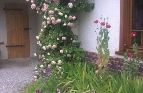 Audrehem House | Le Gite du Poirier - AUDREHEM