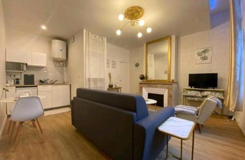 Le Busca Apartment | Le Golden magnifique studio Toulouse centre