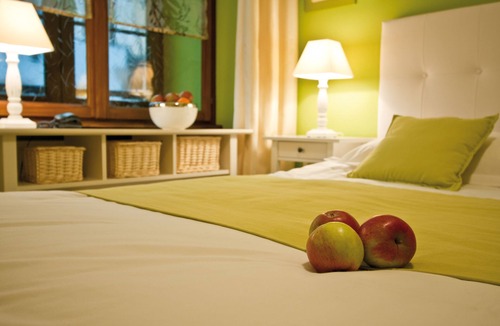 Obernai Hotel | Le Gouverneur