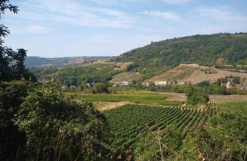 Nolay Apartment | LE GRAND CARNOT