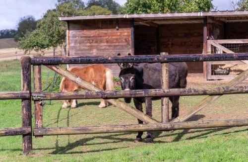 Pre-en-Pail House | Le Grand Mesnil - Collection Idylliq