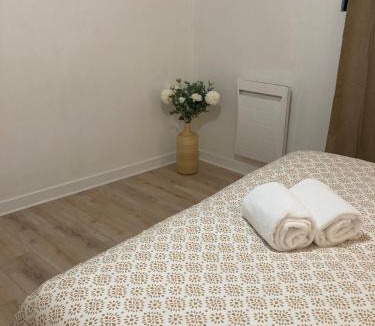 Azay-le-Rideau Apartment | Le grand nid charmant