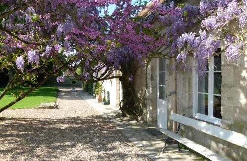 Vendome Bed & Breakfast | Le Grand Saint-Marc