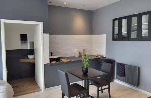 Epinal Apartment | Le Grand Studio Centre Gare