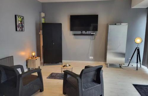 Epinal Apartment | Le Grand Studio Centre Gare