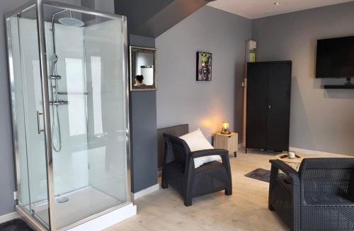 Epinal Apartment | Le Grand Studio Centre Gare