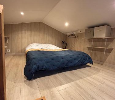 Montaudran - Lespinet Apartment | Le Green KUB
