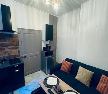 Bourges Apartment | Le green touch, studio centre ville historique