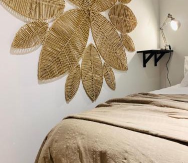 Quartier Hyper-Centre Apartment | Le Grenette Downtown