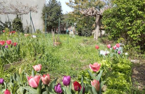 Cabrieres Apartment | Le grenier du Vissou