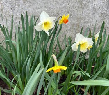 Chateauvieux House | Le Hameau du Peu