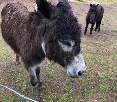 Chateauvieux House | Le Hameau du Peu