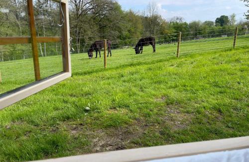 Florent-en-Argonne House | Le Hameau