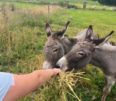 Butot Villa | Le Hameau Paisible