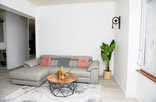 Epinal Apartment | Le Happy - Épinal centre