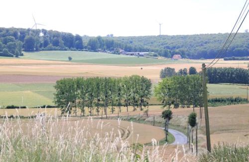 Mesnil-Follemprise Bed & Breakfast | Le Haut Mesnil-3