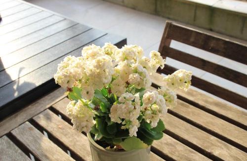 Kerprich-aux-Bois House | Le havre de paix