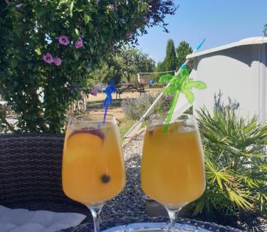 Cronat Bed & Breakfast | Le Heron Pourpre B&B gastronomique