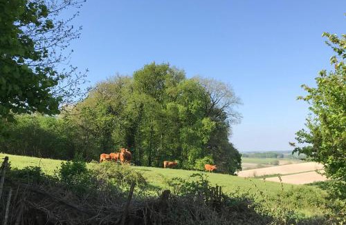 Sud Charente Apartment | Le Hibou -1 bed Gite