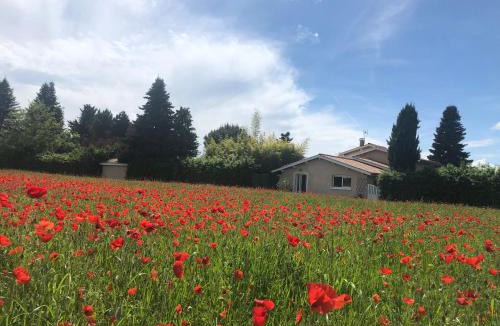 Saint-Georges-d'Esperanche Apartment | Le Jacquéron