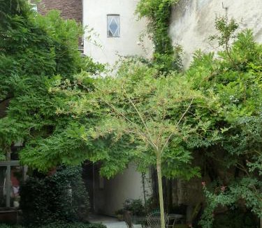 Richelieu House | Le Jardin Andrinople