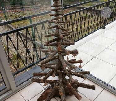 Tonnerre House | Le jardin aux iris