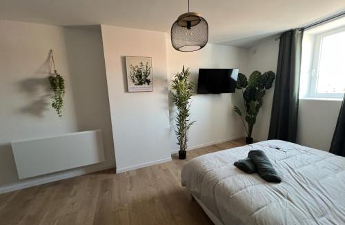 Lens Apartment | Le Jardin Botanique