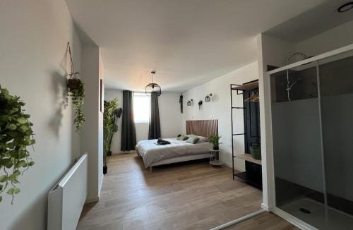 Lens Apartment | Le Jardin Botanique