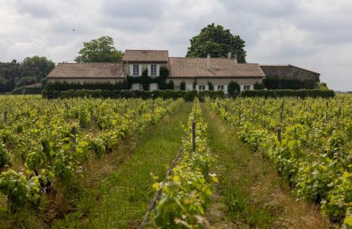 Barsac Bed & Breakfast | Le Jardin dans les vignes