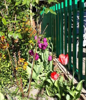 Saint-Pierre-d'Autils House | Le Jardin des Merveilles