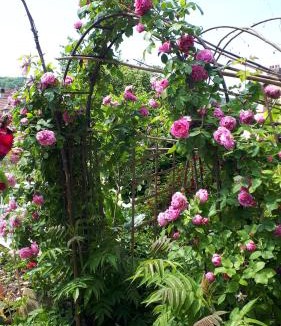 Saint-Pierre-d'Autils House | Le Jardin des Merveilles