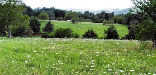 Pays-de-Belves House | Le Jardin de Lyno