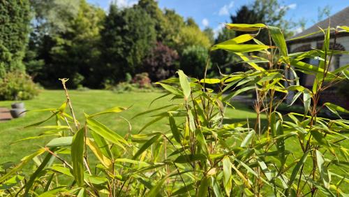 Aubigny-en-Artois Apartment | Le Jardin Divers