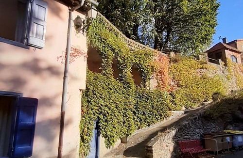 Mas-Cabardes House | LE JARDIN SUR LE TOIT