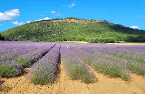 Volonne Bed & Breakfast | Le Jas de Volonne