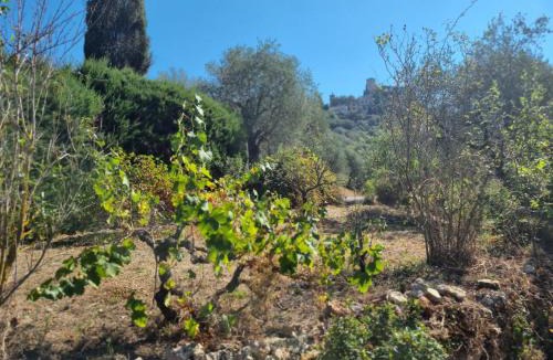 Tourrette-Levens House | Le Jas