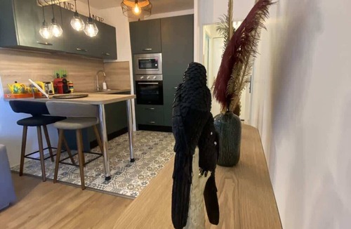 Blagnac Apartment | Le Jungle - 2p - Blagnac