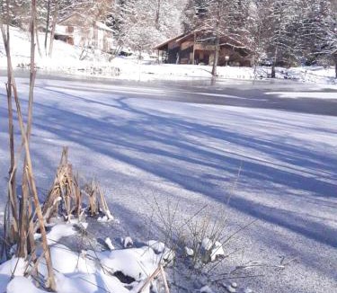 La Chapelle-devant-Bruyeres Ski Chalet | Le Kota Montagne