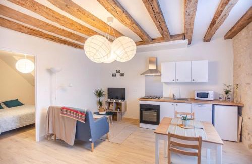 Amboise Apartment | LE LÉONARD Échappée Amboisienne avec sauna partagé