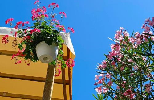 Canet-Plage Other | Le Lagon Rose nice bungalow Camping SIBLU le Mar Estang Canet-en-Roussillon, 2 rooms, 2 bathrooms, 2 TV, free WIFI, sheets & towels included, beach at 5 mn walk